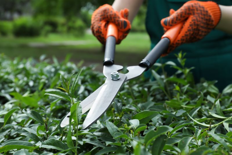 Hedge Pruning in Rockwall, TX