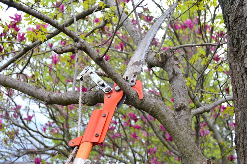 Branches Pruning in Doylestown, PA