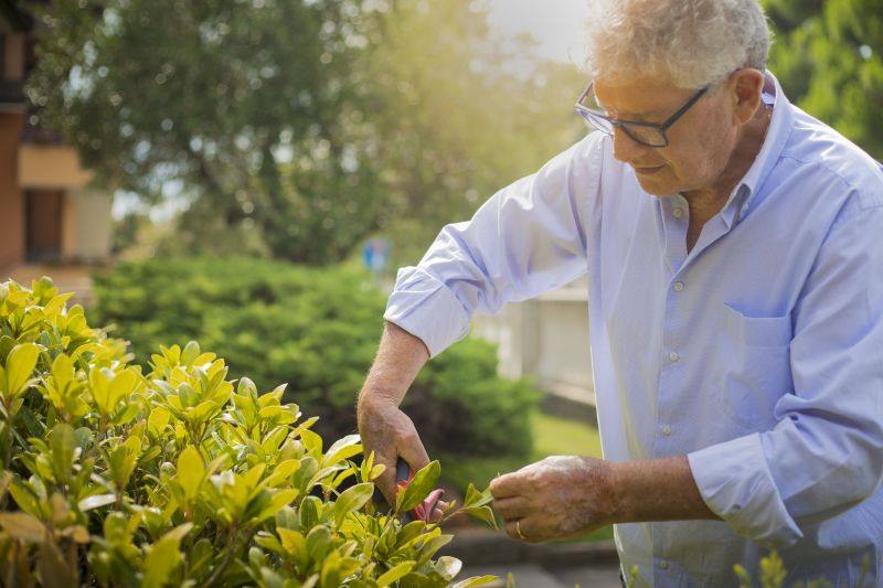 Bush Trimming Service in Rockwall, TX