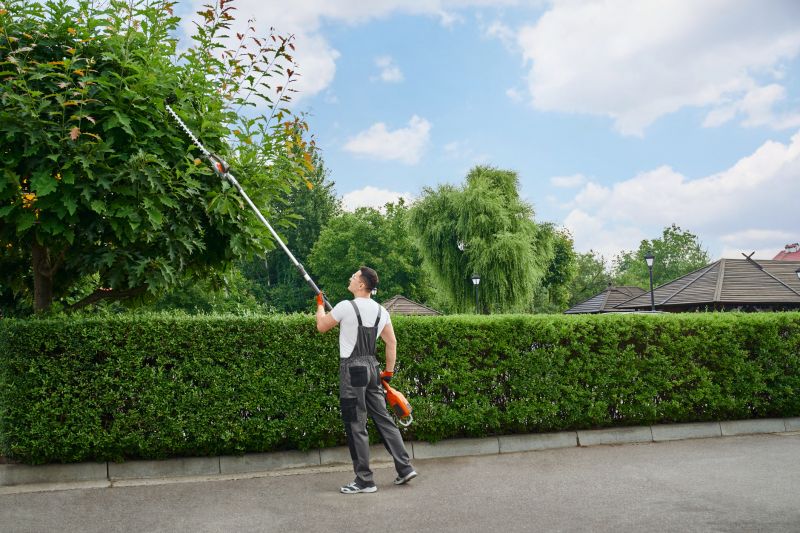 Commercial Shrub Trimming in Rockwall, TX
