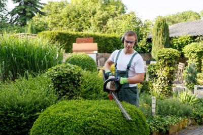 Commercial Shrub Trimming in Rockwall, TX