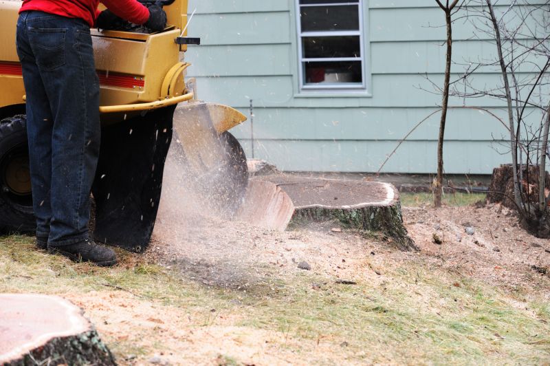 Commercial Stump Grinding in Pottstown, PA