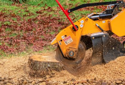 Commercial Stump Grinding in Allentown, PA