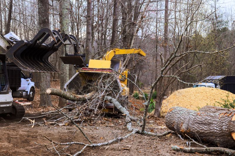 Dead Tree Removal in Pottstown, PA