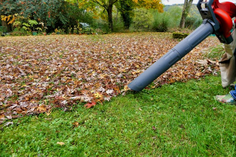 Tools for Leaf and Debris Removal