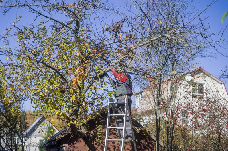 Residential Tree Service in Doylestown, PA