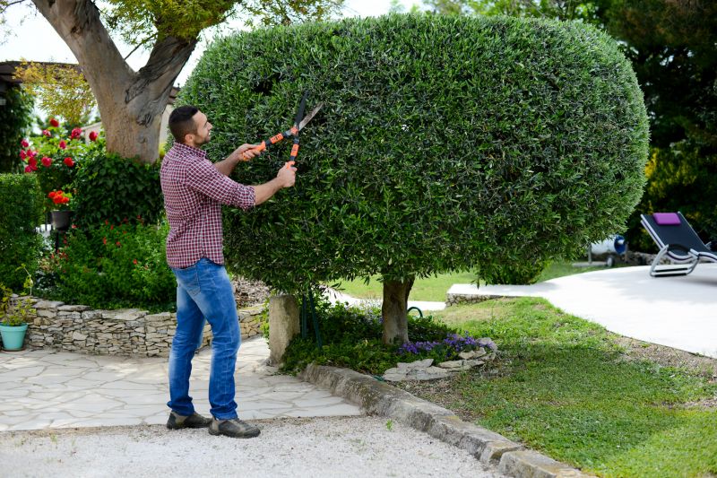 Shrub Shaping in Rockwall, TX