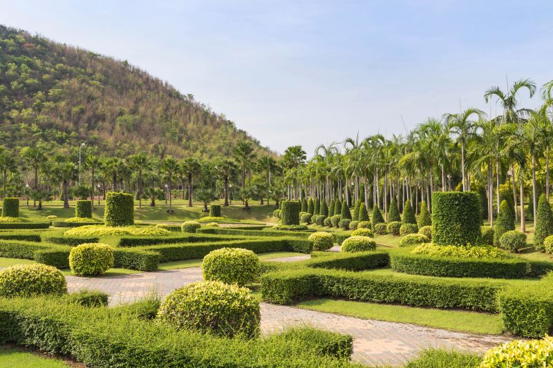 Shrubs with Uniform Shape