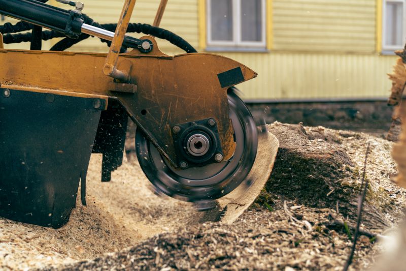 Stump Cutting in Waldorf, MD