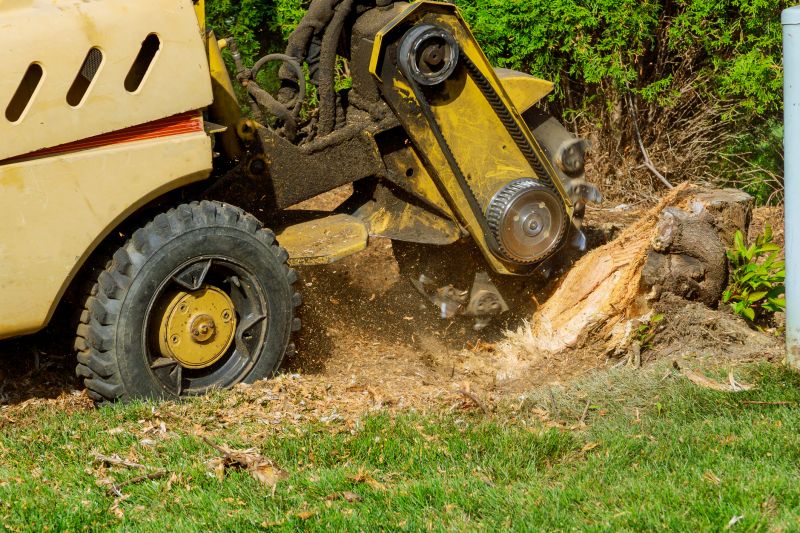 Stump Grinding Service in Calvert County, MD