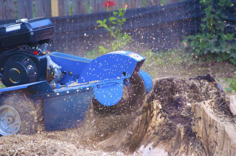 Tree Root Grinding in Calvert County, MD