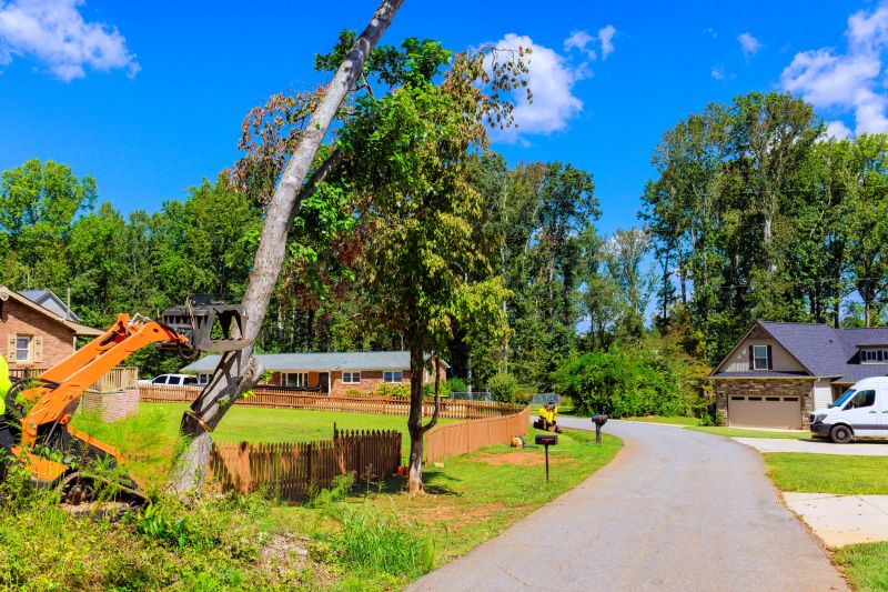 Vine Removal Equipment