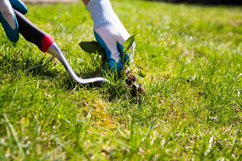 Vine Removal Cost Guide — Cost of Vine Removal