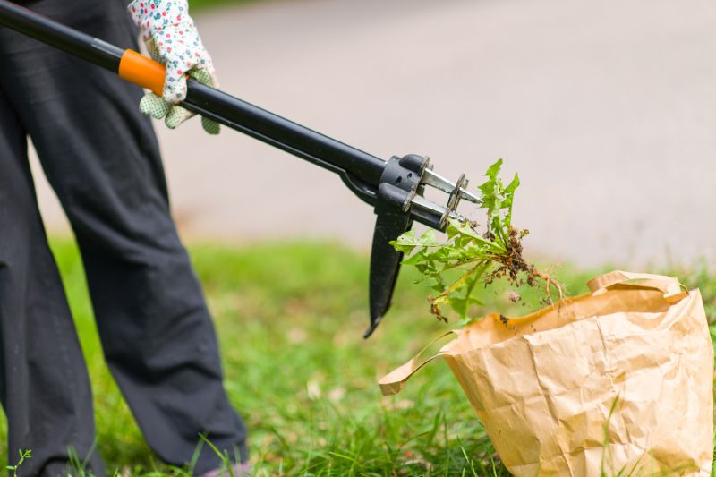 Vine Removal Cost Guide — Cost of Vine Removal